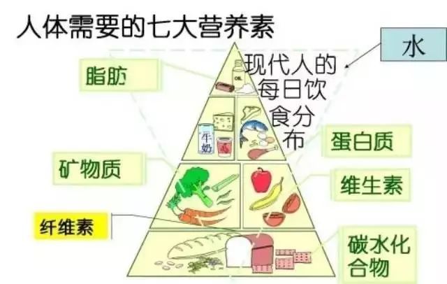 花費3萬塊找營養師咨詢減肥，梳理出的精華內容都在這里！減肥必看！